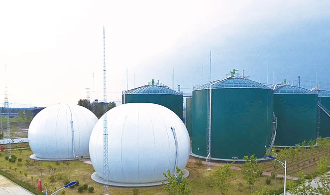 Chicken Manure Biogas Plant