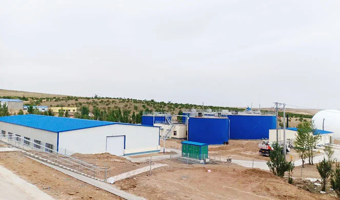 Pig Manure Biogas Plant