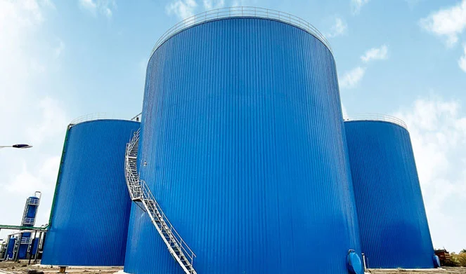 Cow Manure Biogas Plant