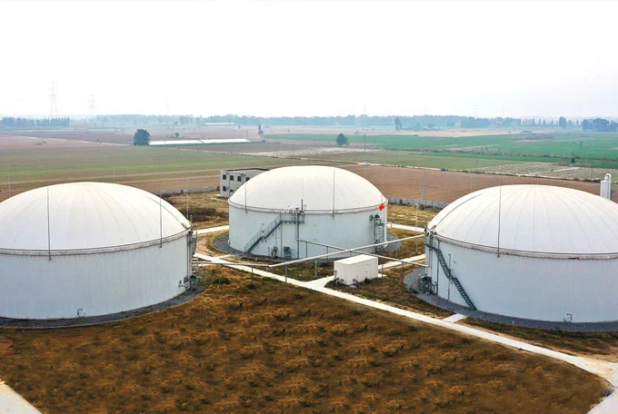 large biogas plant
