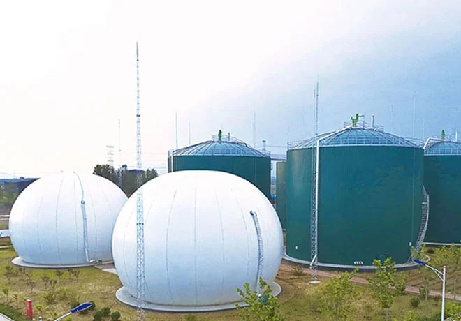 What are the main components of a Chicken Manure Biogas Plant?