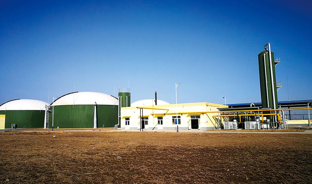 Mixed Raw Materials Biogas Plant