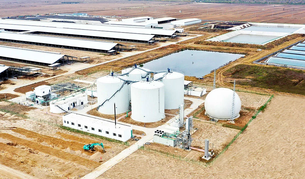 Poultry Waste Biogas Plant