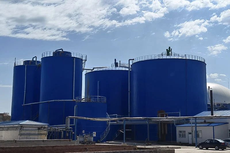 Harnessing the Power of Agricultural Biogas Plants