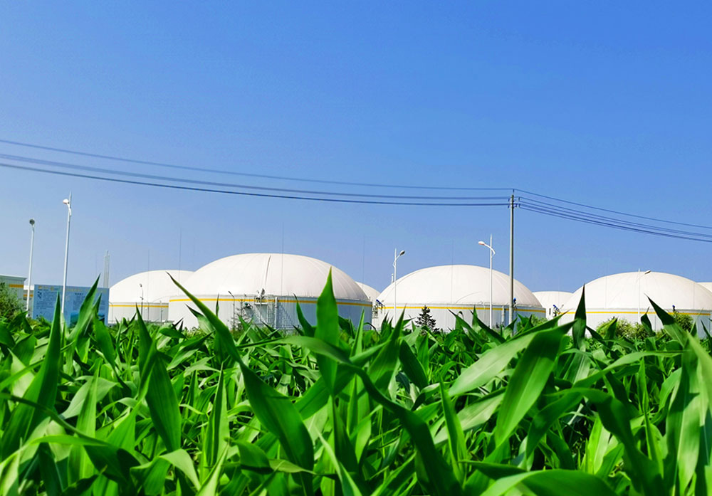 How Does A Paddy Straw Biogas Plant Work?