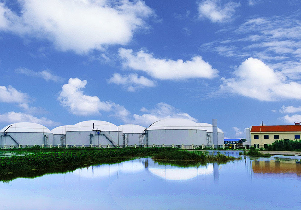 What Is A Mixed Raw Materials Biogas Plant?