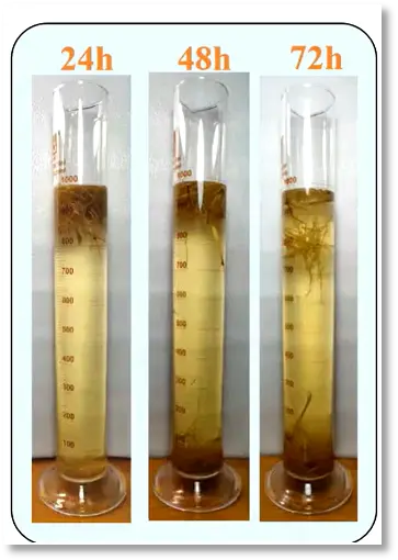 3. Mature Straw Biogas Pretreatment Key Point-Increase Raw Material Hydrophilicity